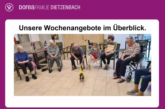 Wochenplan für Webseite